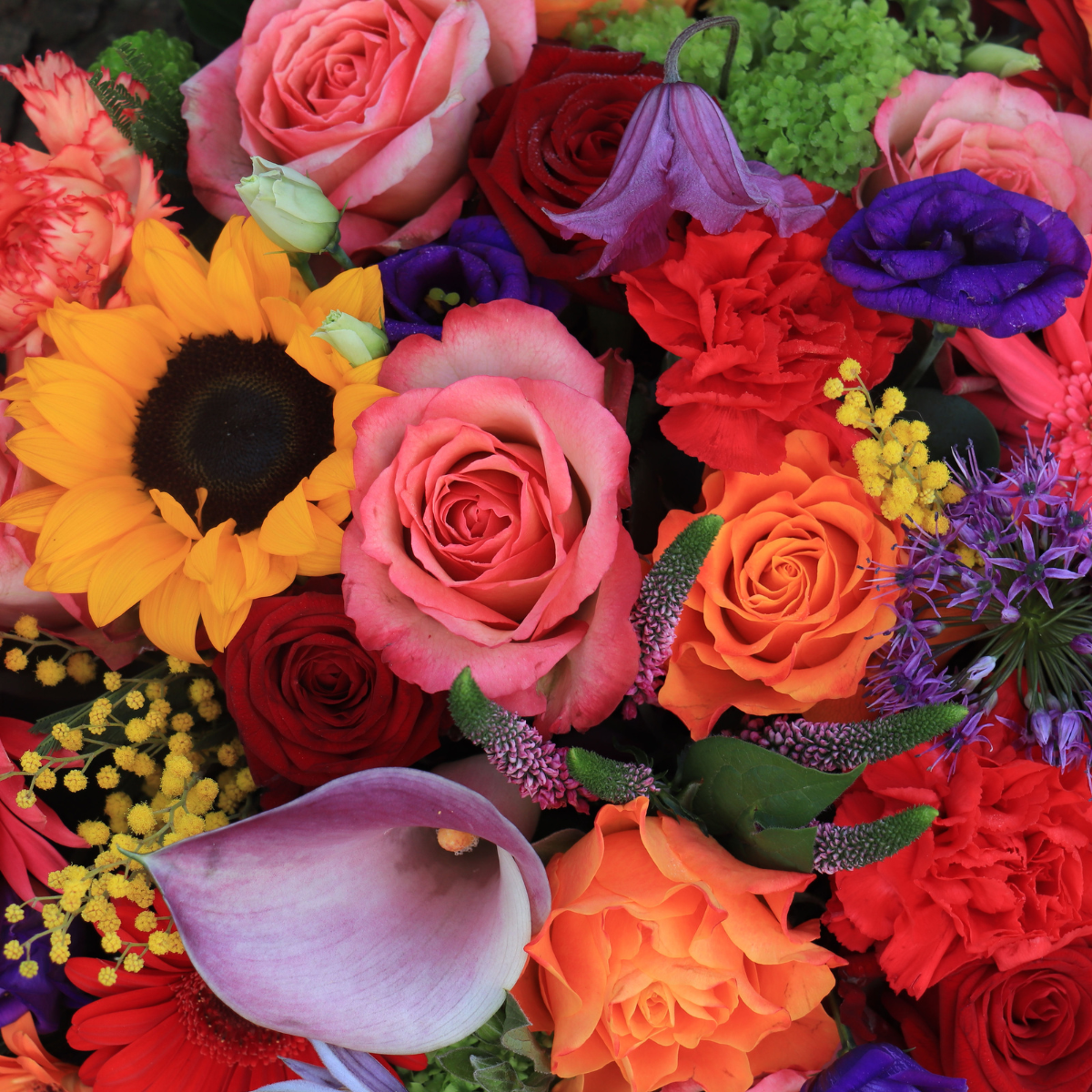 Just Do Event - mariage D&V coloré